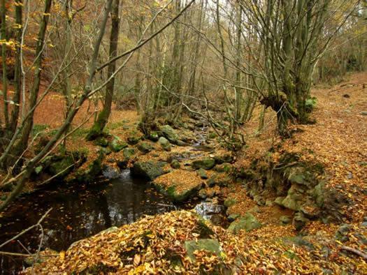 Chemin Babette Stoumont Exterior foto